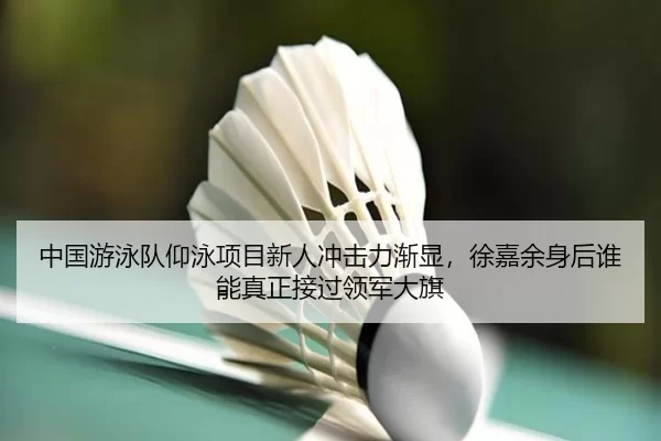 中国游泳队仰泳项目新人冲击力渐显，徐嘉余身后谁能真正接过领军大旗